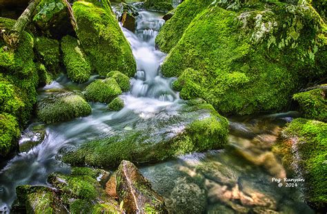Mossy Rock Waterfall Photograph By Peg Runyan