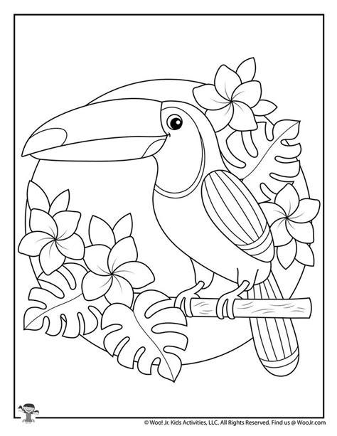 Toucan Coloring Page For Preschoolers Coloringqu