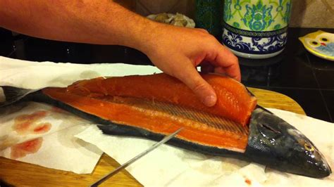 How To Fillet A Pink Salmon Youtube