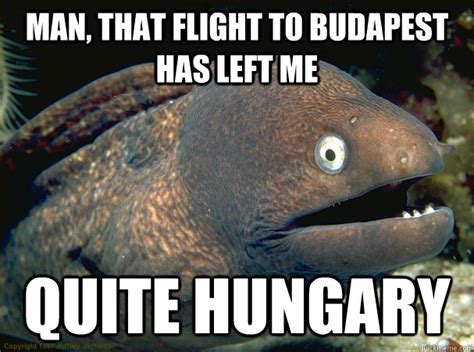man that flight to budapest has left me quite hungary bad joke eel quickmeme