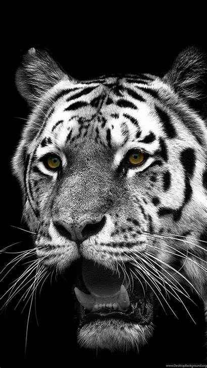 Tiger Wallpapers Animal Iphone 6s Mobile Background