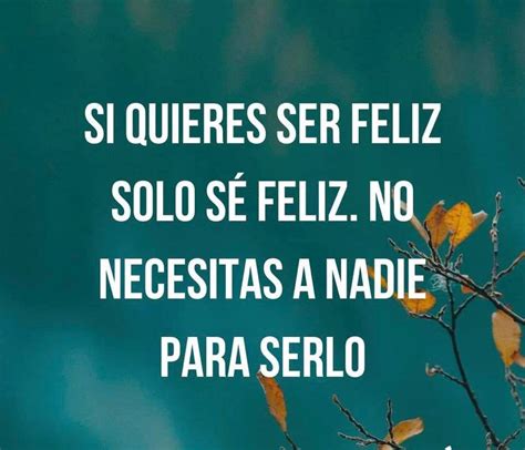 Si Quieres Ser Feliz Solo Se Feliz No Necesitas A Nadie Para Serlo Frases Pw