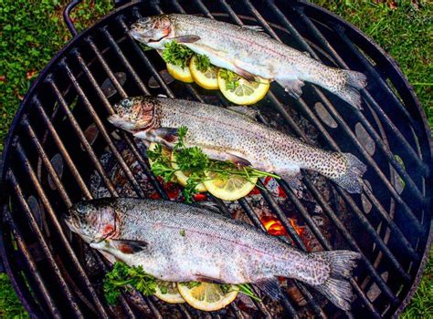 Maybe you would like to learn more about one of these? Wood Fire Herb Trout - Over The Fire Cooking
