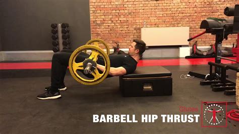 Barbell Hip Thrust Youtube