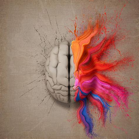 The Creative Brain Digital Art By Johan Swanepoel