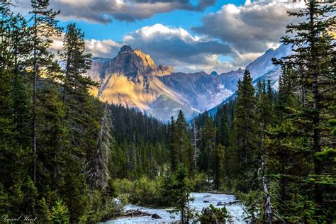 Unknown Mountain By Kicking Horse River In Yoho National Park Oc