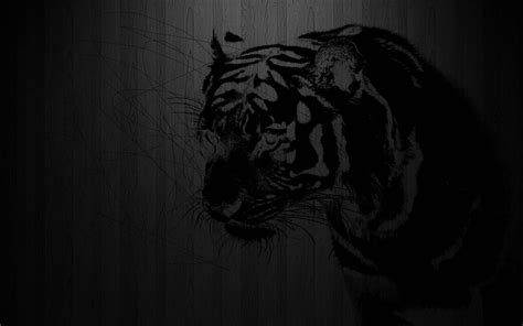 Black Tiger Wallpaper Wallpapersafari
