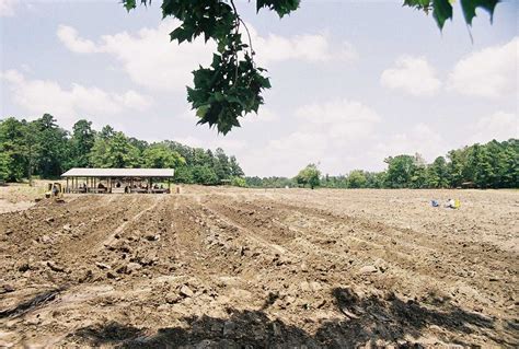 Maybe you would like to learn more about one of these? Crater of Diamonds Arkansas | State parks, Diamond state ...