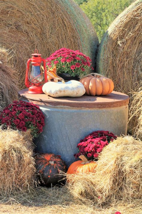 Fall Farm Decor Free Stock Photo - Public Domain Pictures