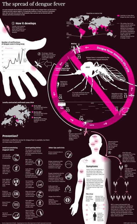 Infographic Everything You Need To Know About Dengue Fever South