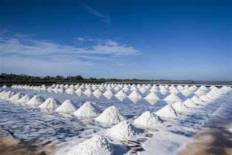 9 Sasi Harga Garam Tak Kunjung Membaik Garam Laut Harga