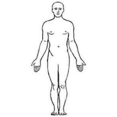 Divisao Anatomica Do Corpo Humano