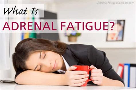 What Is Adrenal Fatigue Adrenal Fatigue Solution