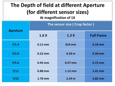The Macro Lenses Explained - Samples & Recommendations