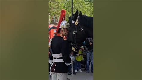Kings Guard Kisses Horse Horseguardsparade Youtube