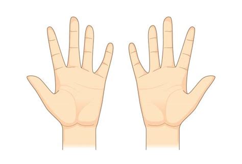 Ten Fingers Illustrations Royalty Free Vector Graphics And Clip Art Istock