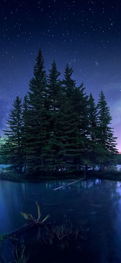 1125x2436 Aurora Borealis At Two Jack Lake Hd Canada Iphone Xsiphone