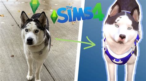 Making My Service Dog The Sims 4 Cats And Dogs Youtube