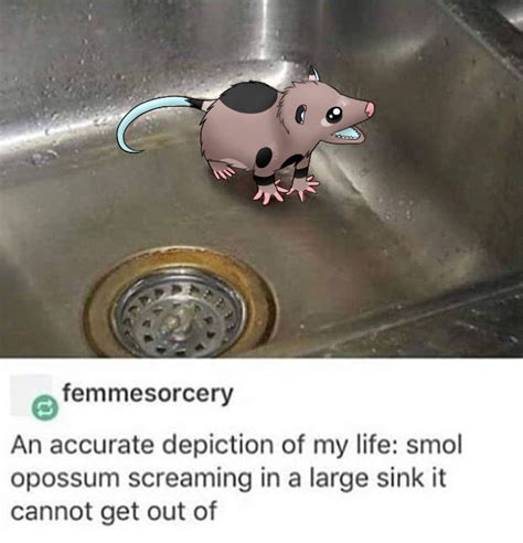 Screaming Opossum Meme By Tannyfox On Deviantart