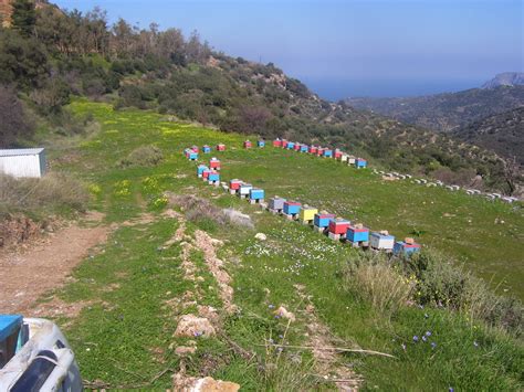 Ξεκινάει η ενημέρωση από τον υπουργό υγείας κύριο βασίλη κικίλια. Sfaka Bee