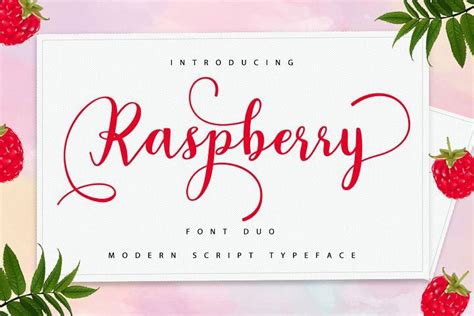Raspberry Font Duo 291764 Handwritten Font Bundles Modern