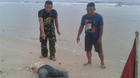 Saat libur lebaran, pantai yang berjarak sekitar 85 kilometer dari pusat kota sampit itu biasanya didatangi ribuan wisatawan lokal dan luar daerah. BREAKINGNEWS : Geger, Jasad Warga Klaten Ditemukan Tanpa ...