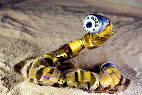 Multimedia Gallery Snake Robot Moves Like Sidewinder Rattlesnake