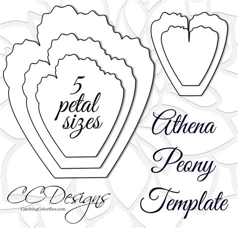Printable giant paper flower template. Giant Paper Peonies Printable PDF Flower Templates Peony ...