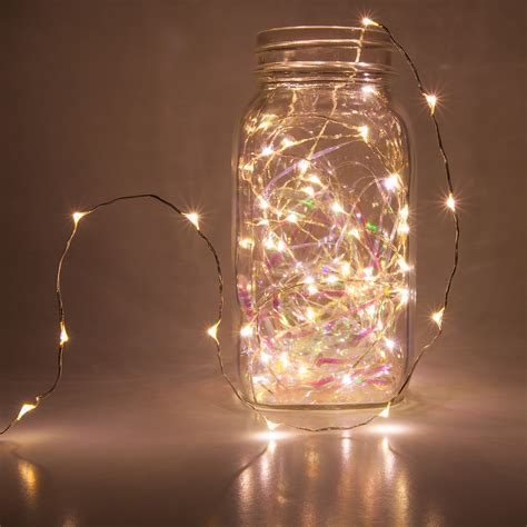 Novelty Lights 10 Warm White Led Fairy Light String