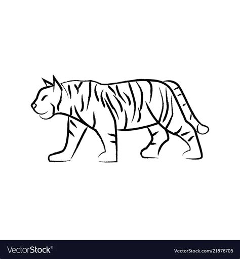 Top More Than 81 Outline Sketch Of Tiger Super Hot Seven Edu Vn