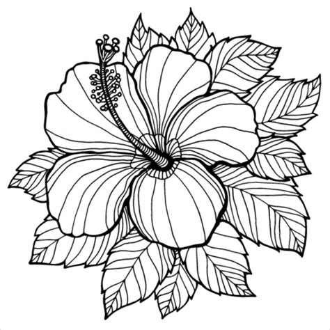 Are there any coloring pages for grown ups? Easy Realistic Flower Coloring Pages - kidsworksheetfun