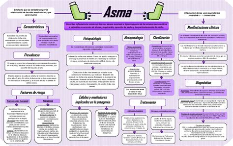 Asma Mapa Conceptual Donde Se Abordan Puntos Del Asma De Una Manera