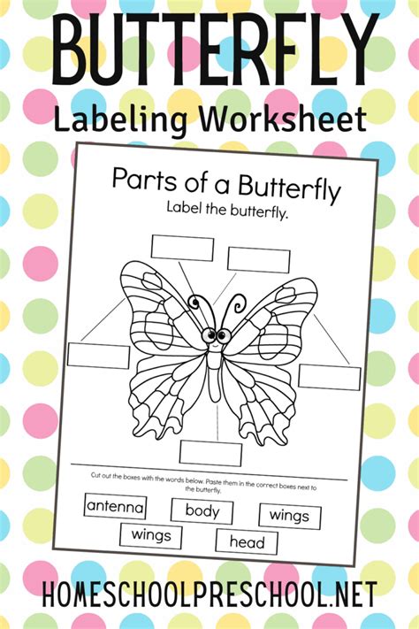 This Parts Of A Butterfly Worksheet Is Perfect For Your Life Cycle
