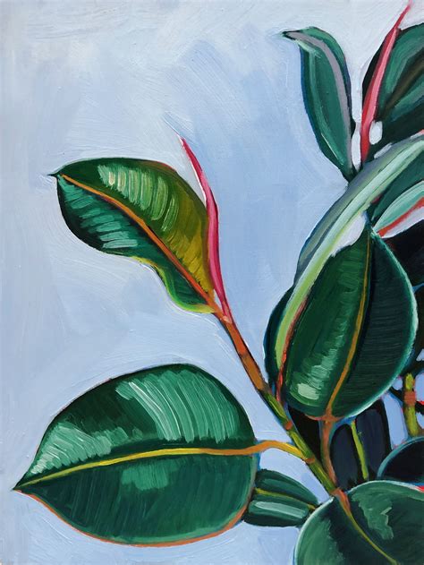 Rubber Tree Plant Plant Art Art Painting Plant Painting