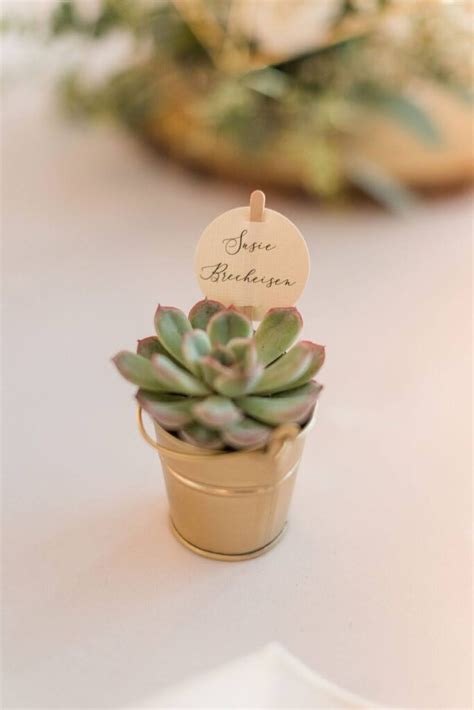 10 Creative Wedding Favor Ideas Your Wedding Guests Will Love Finley