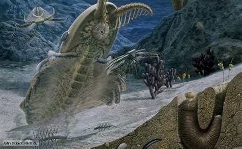 The Cambrian Is Famed For Its Explosion Of Abundant And