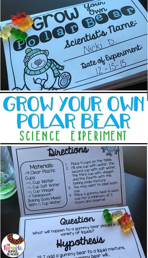 Explore 9th grade classroom activities to inspire and engage your students. Grow Your Own Polar Bear Science | Gummy Bear Experiment ...