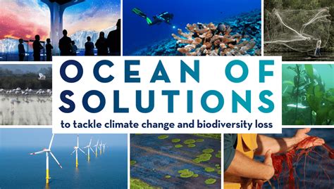 Ocean Of Solutions To Tackle Climate Change And Biodiversity Loss