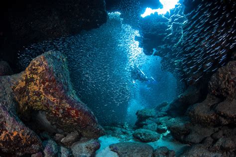 Les Cavernes Sous Marines Des îles Caïmans Ocean Wallpaper Ocean