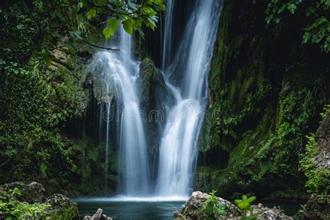 Streaming Cascade Water In Green Forest Stock Image Image Of Country