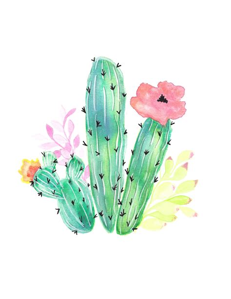 New Cactus Watercolor Print How Adorable Would This Be In A Succulent