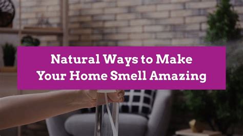 7 Natural Ways To Make Your Home Smell Amazing House Smells Clean