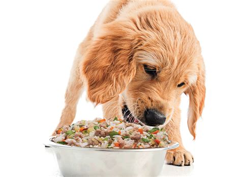 Please contact me through my auction page on facebook. Feed Fido fresh human-grade dog food to scoop less poop ...