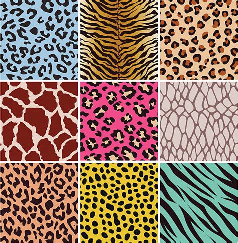 Animal Pattern Illustrations Royalty Free Vector Graphics And Clip Art