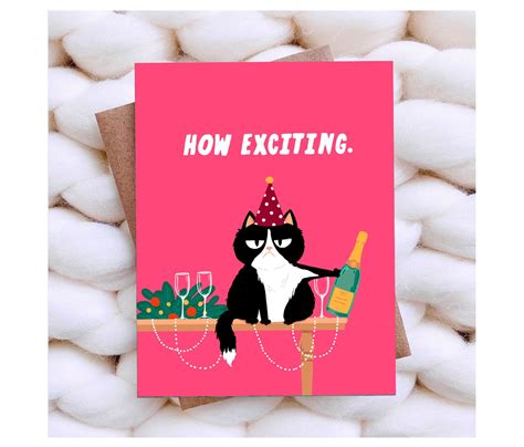 Funny Cat Birthday Card Funny Congratulations Card Sarcastic Etsy Ireland