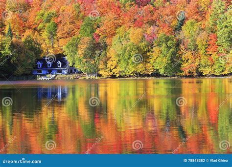 Autumn Colors And Fog Reflections On The Lake Quebec Stock Photo