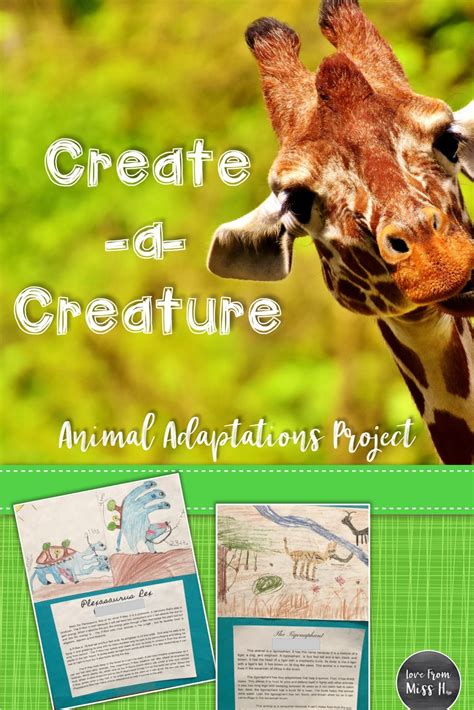 Studying Animal Adaptations Habitats Or Food Chains Check Out This