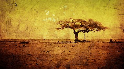 Grunge Tree Wallpaper Widescreen Cool Images Free Amazing Artwork Colourful Pictures Widescreen