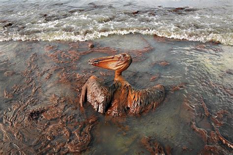 Five Years After Bp Spill New Rules For Offshore Drilling