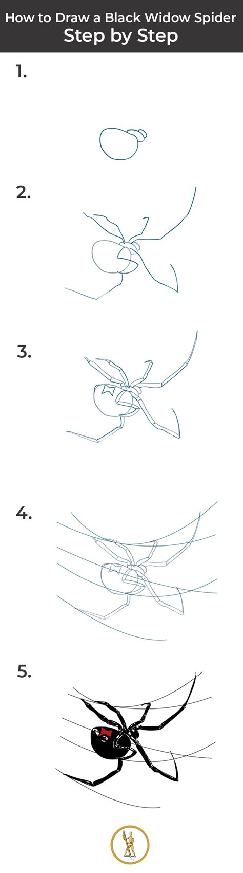 How To Draw A Black Widow Spider Step By Step